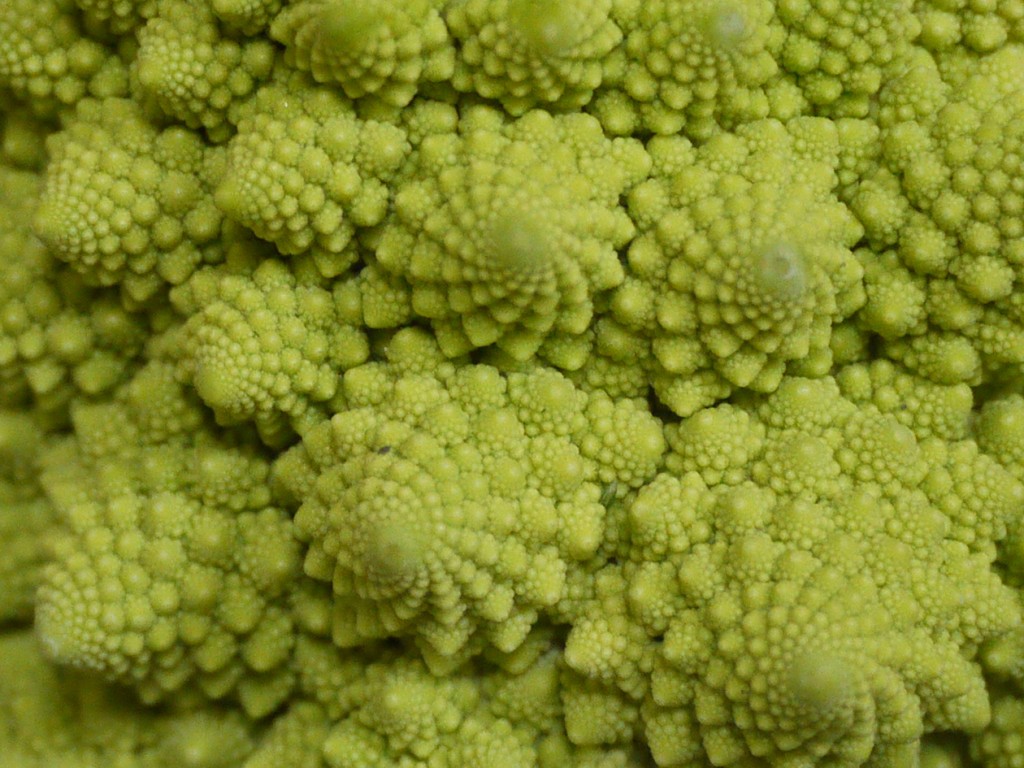 Romanesco broccoli