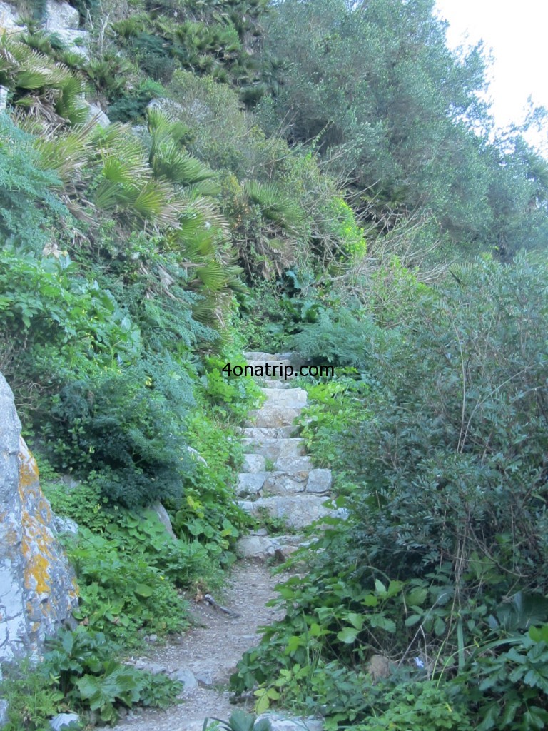 Mediterranean Steps, rock of Gibraltar