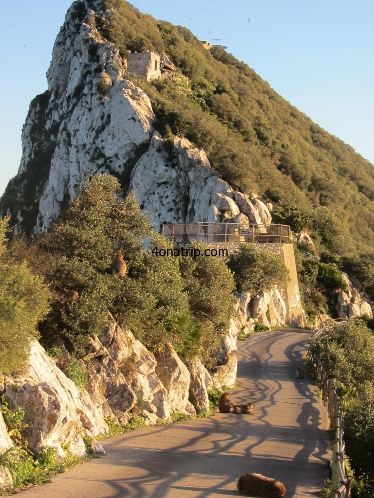 Road at top of Rock of Gibraltar