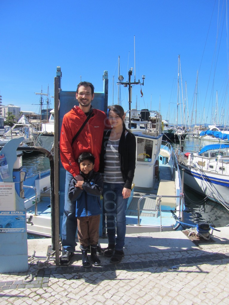 Dolphin Watching in Gibraltar