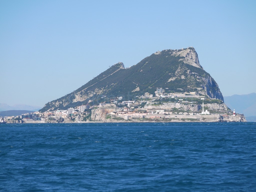 Dolphin Watching in Gibraltar