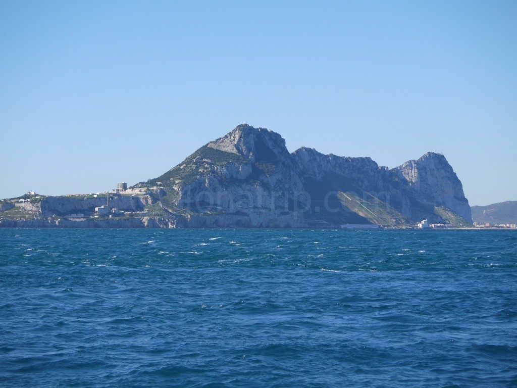 Dolphin Watching in Gibraltar