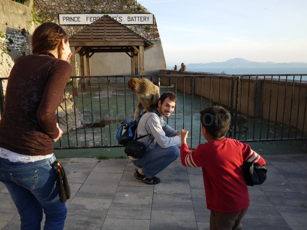 Monkey On My Back, Gibraltar Style