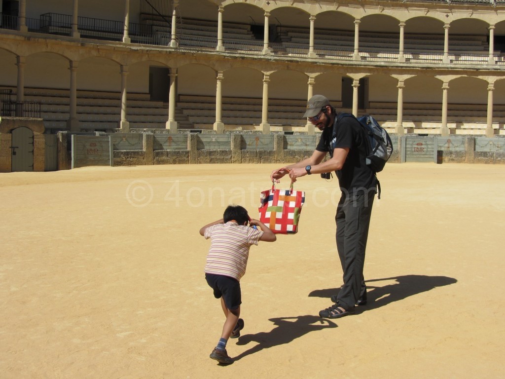 Luie charging the handsome matador in Ronda bullring