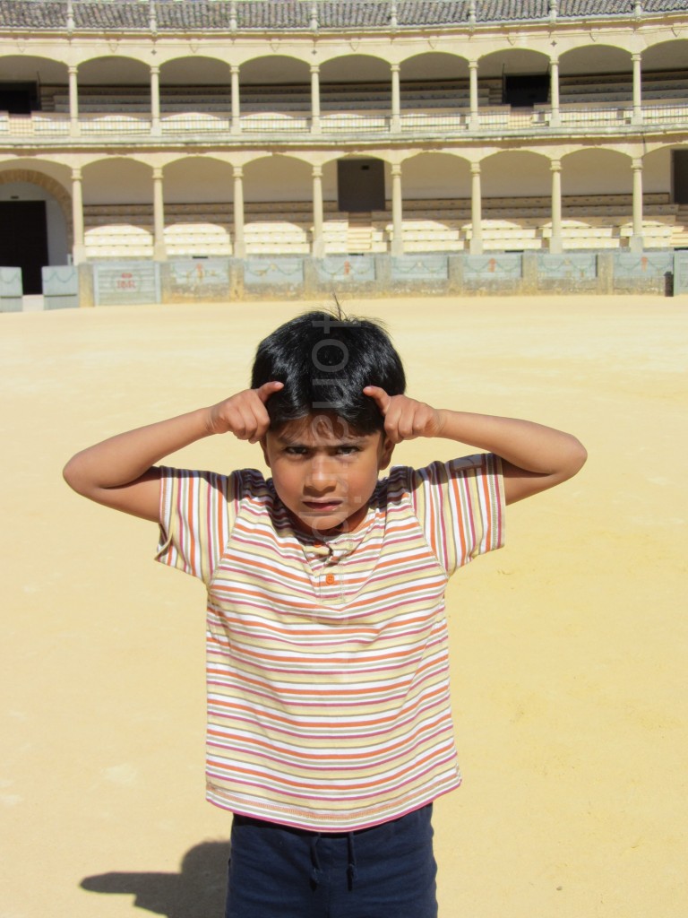 Luie the Bull in Ronda bullring