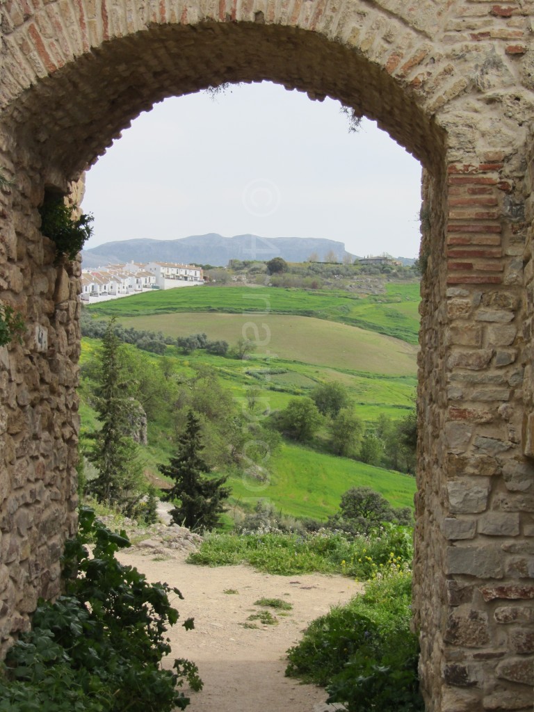 The Bridge and Gorge of Ronda, Spain