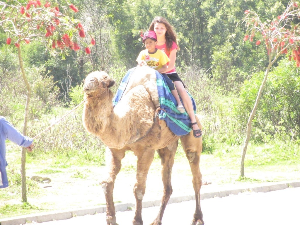 Summer and Luie riding a camel in Morocco