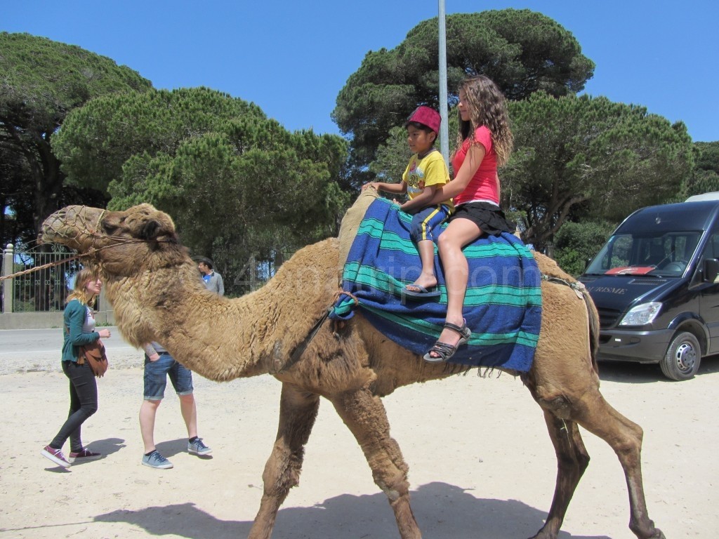 Summer and Luie in Morocco on a camel