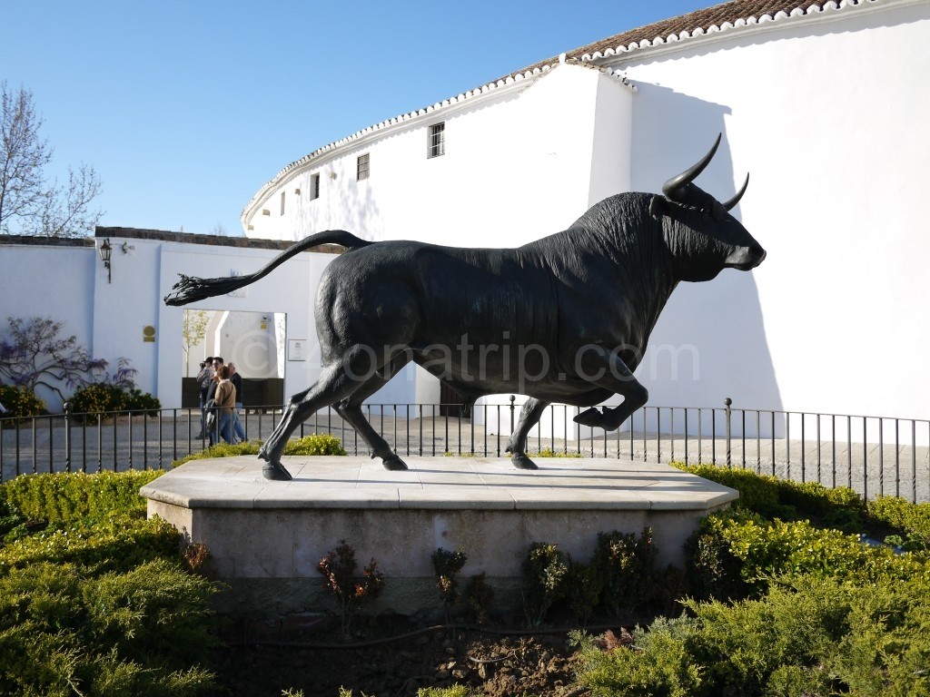 Bull statue in front of Ronda bullring