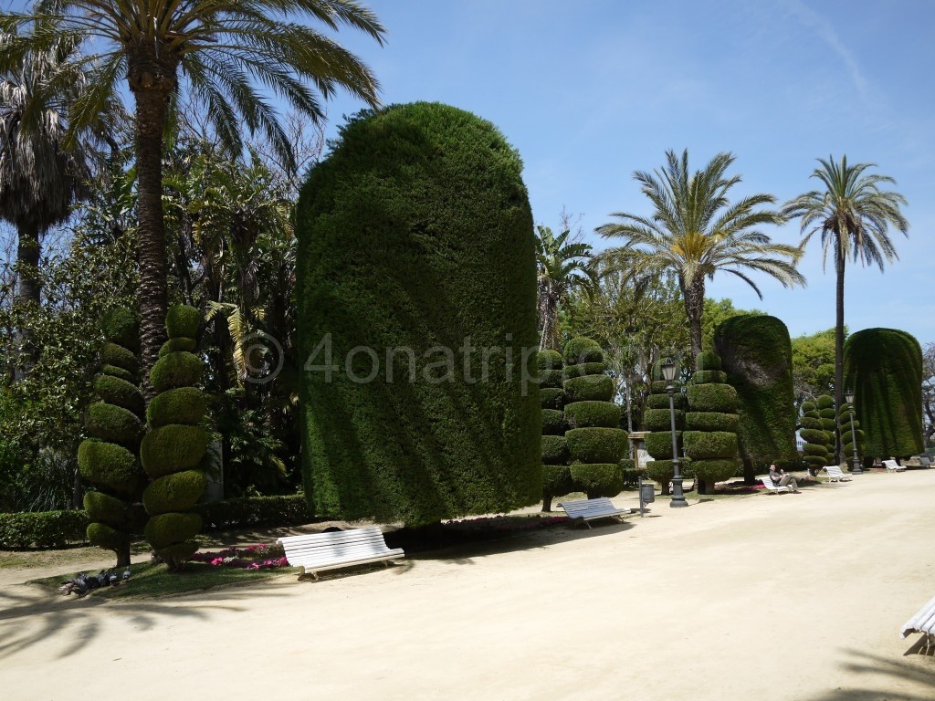 Sculpted bushes in Cadiz