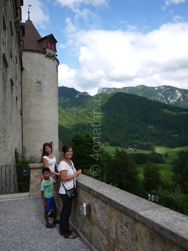 A view from the castle walls.