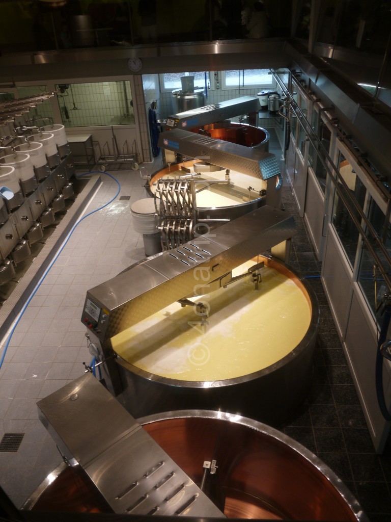 Heating the milk for Gruyère cheese.