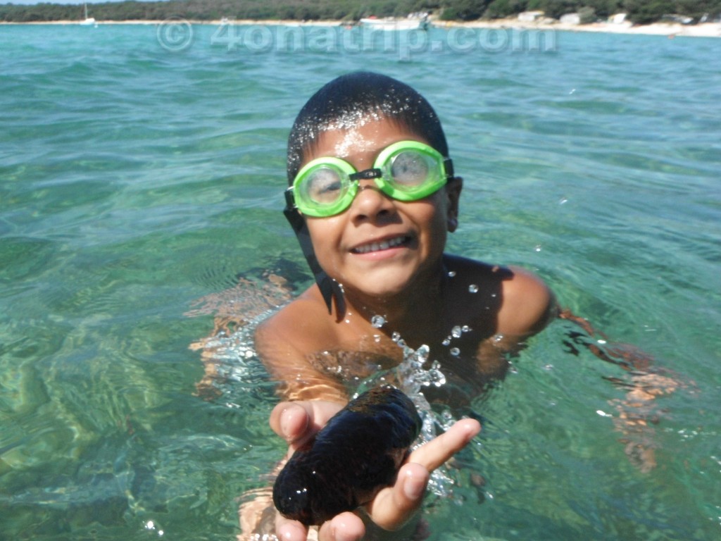 Luie with sea cucumber