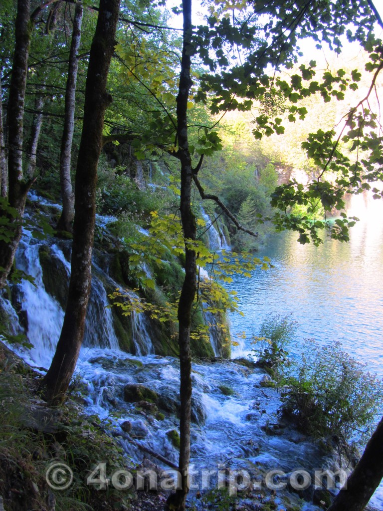 Plitvice National Park Croatia view through trees