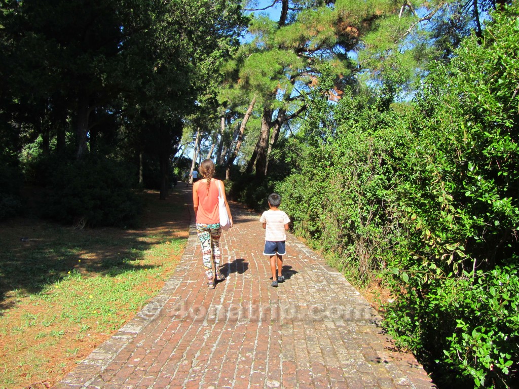 trail around St. Katarina island