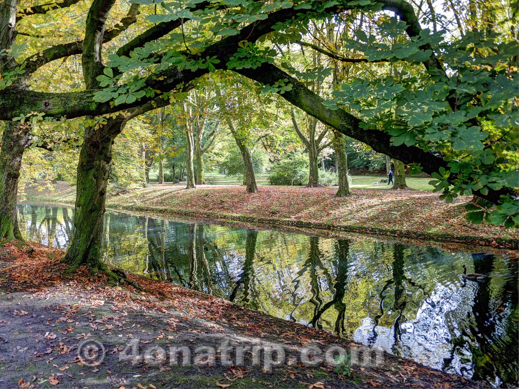 Canal in park