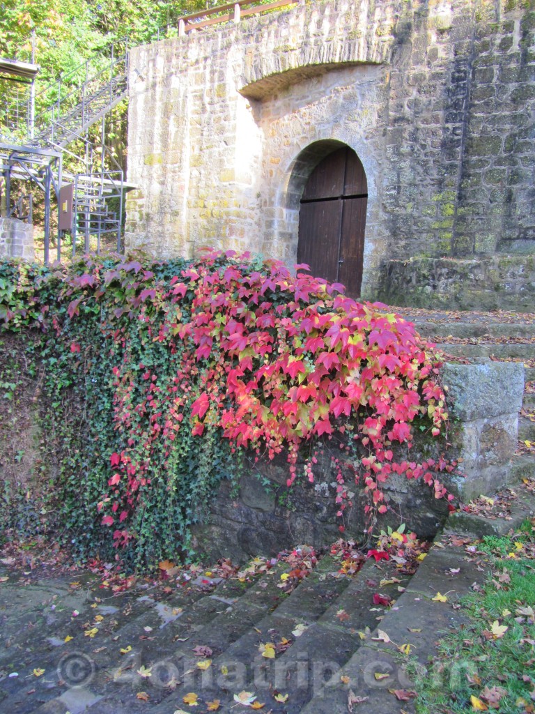 Tecklenburg fall colors