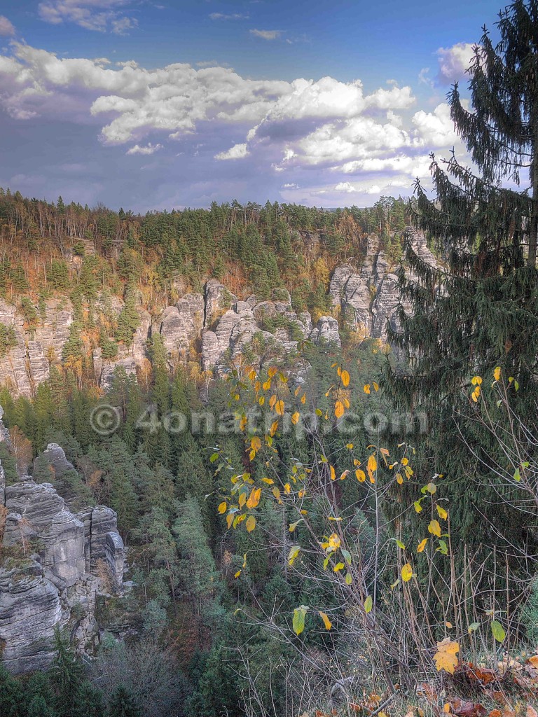 Fall colors Elbe Sandstone Mountains