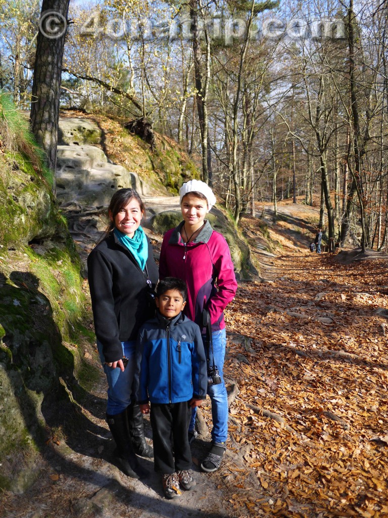 trail in Elbe Sandstone Mountains Germany