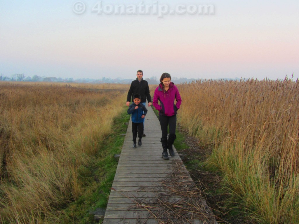 boardwalk