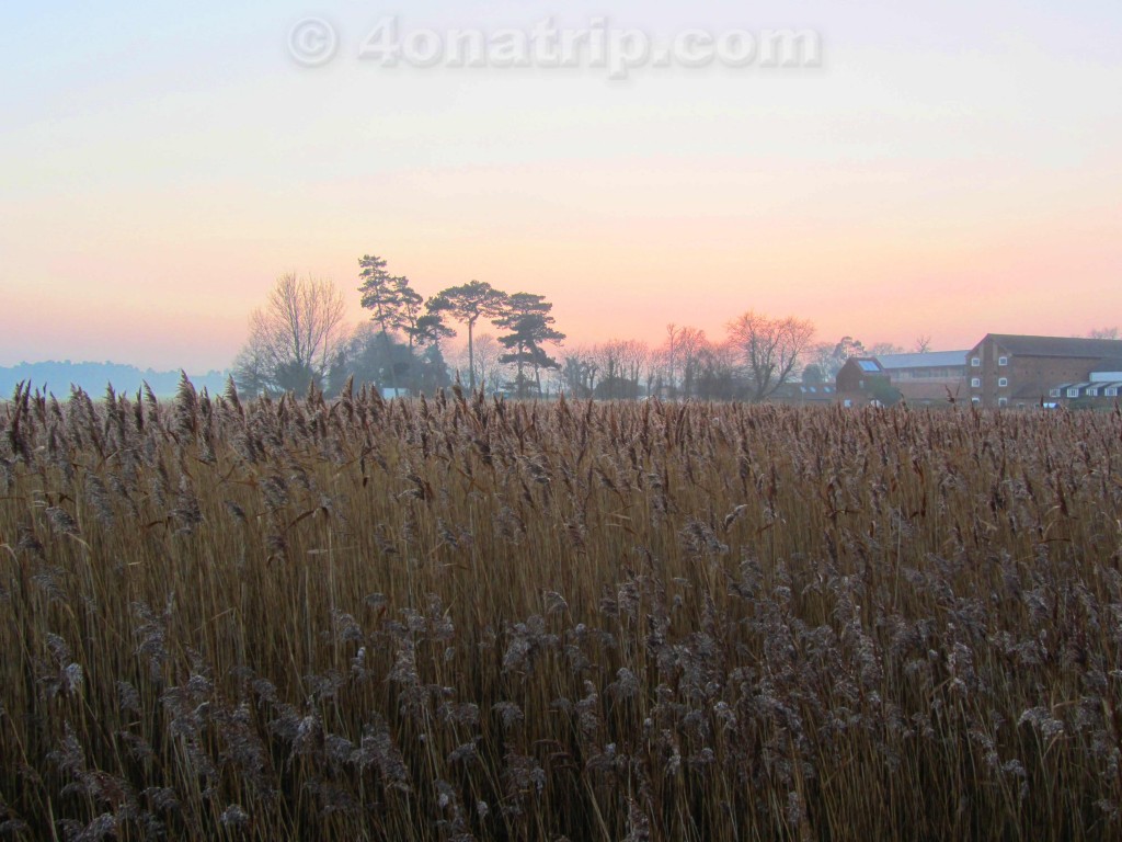 field and sky at Snape Maltings