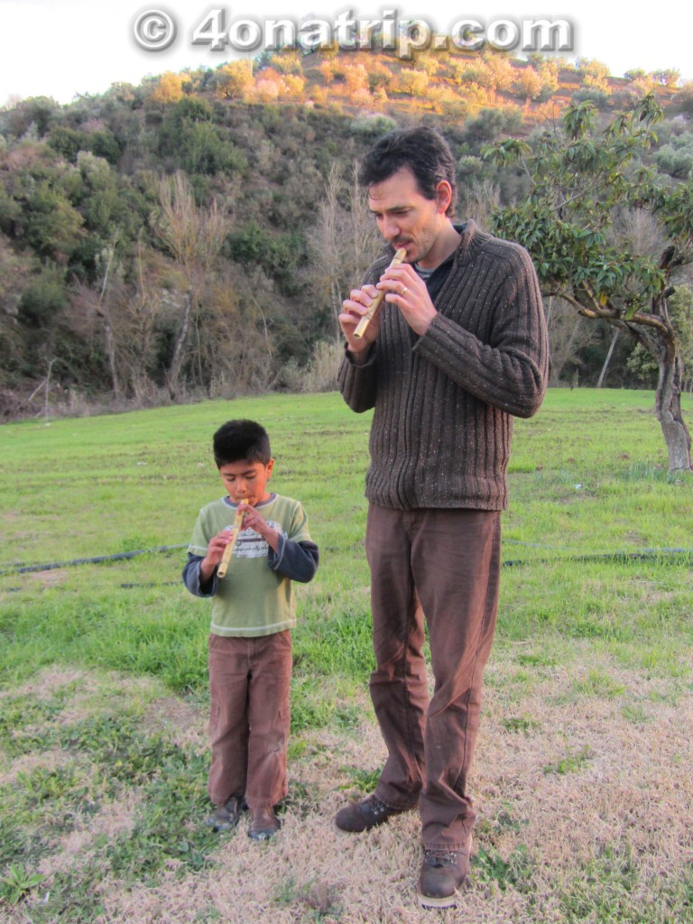 bamboo flutes