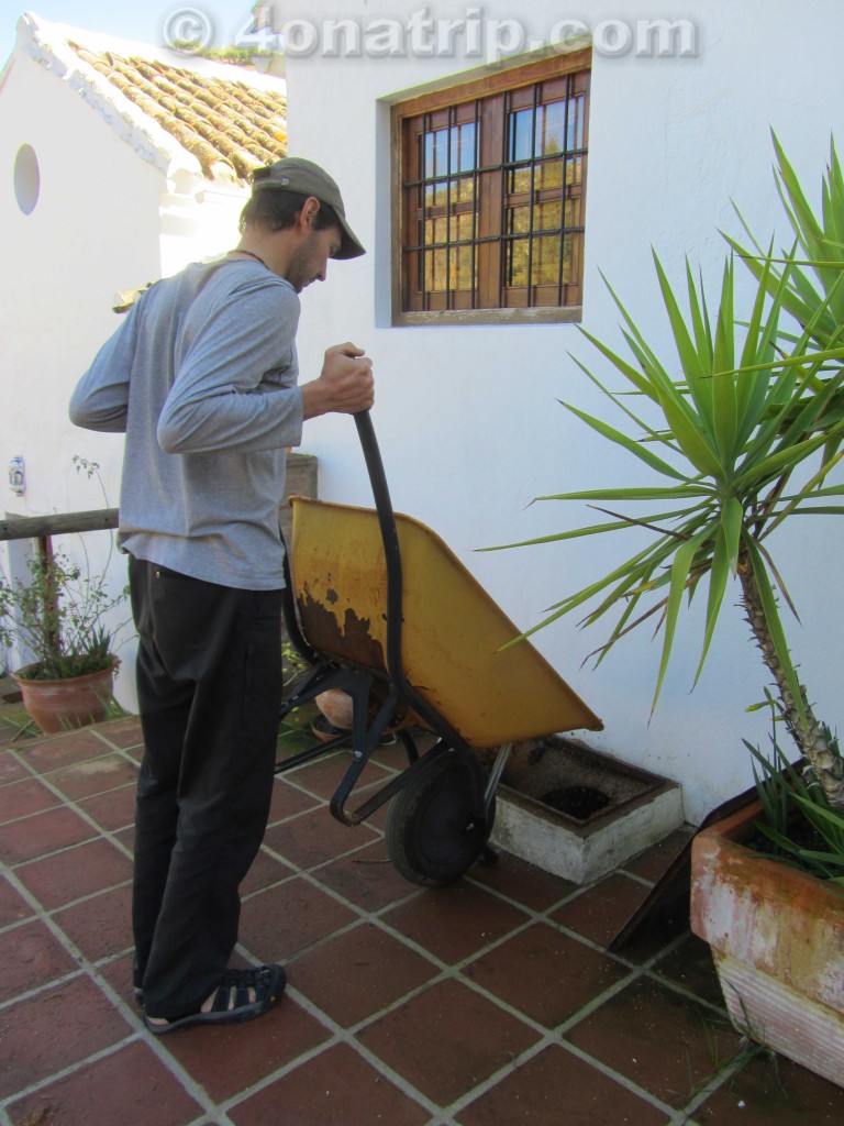 filling the seed room