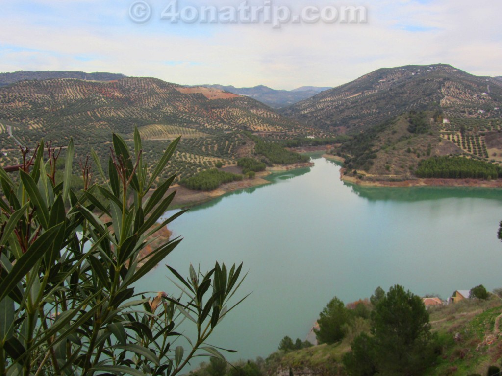 Olive tree hills Iznajar Spain