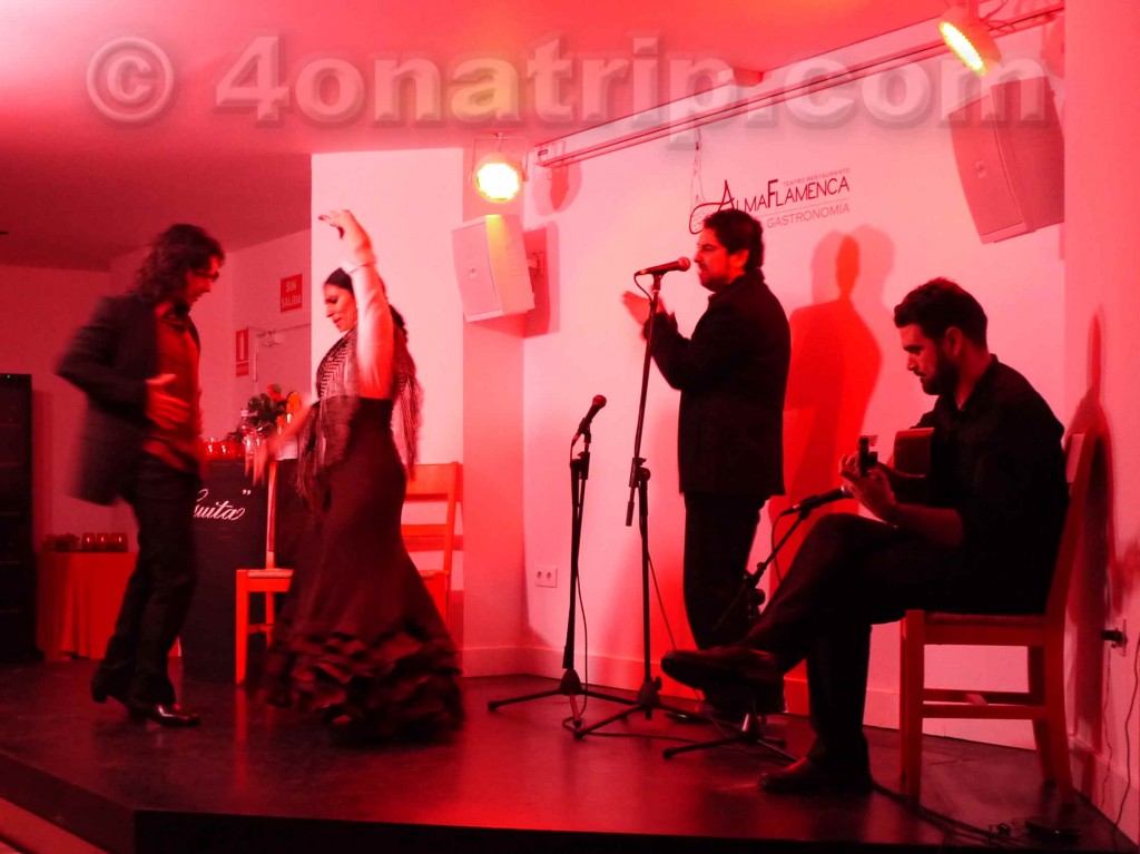 Malaga Spain Alma Flamenca