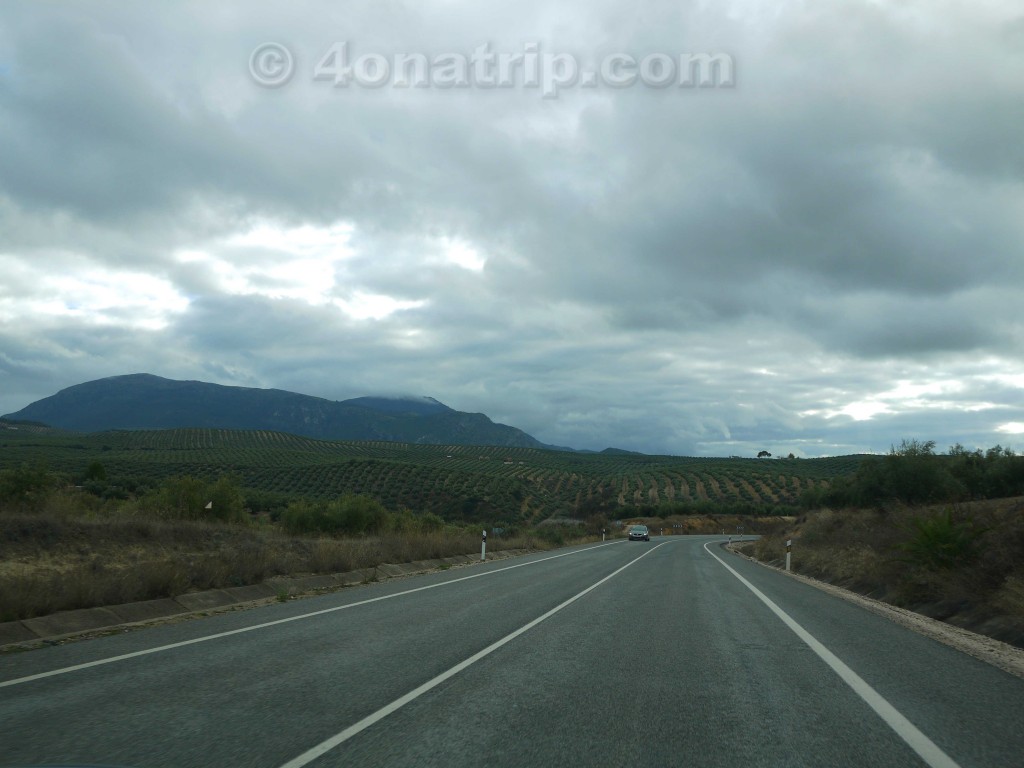 Driving through Spain's olive country