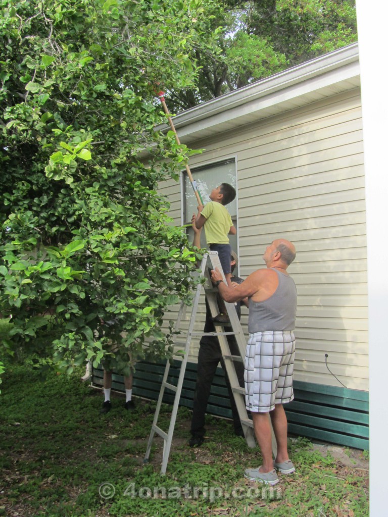 Luie and Grandpa picking lemons