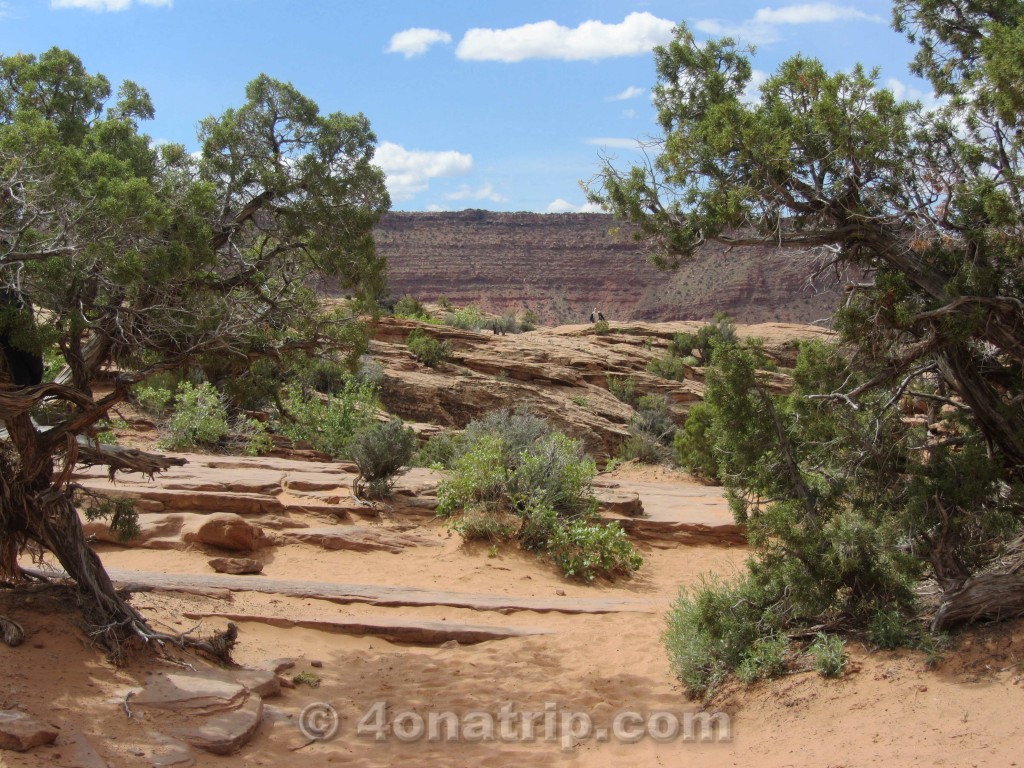 Arches National Park hike to Delicate