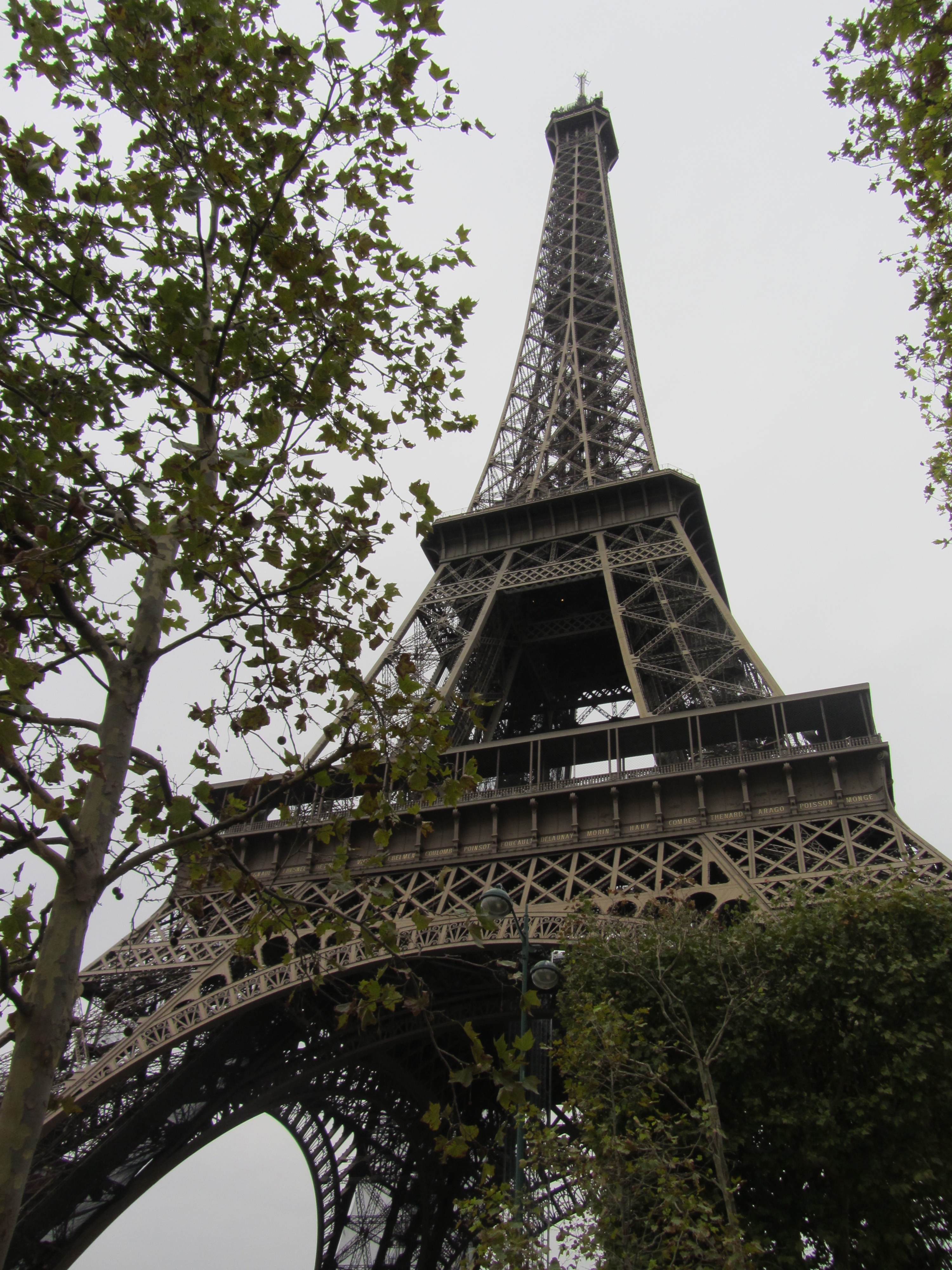 The Eiffel Tower