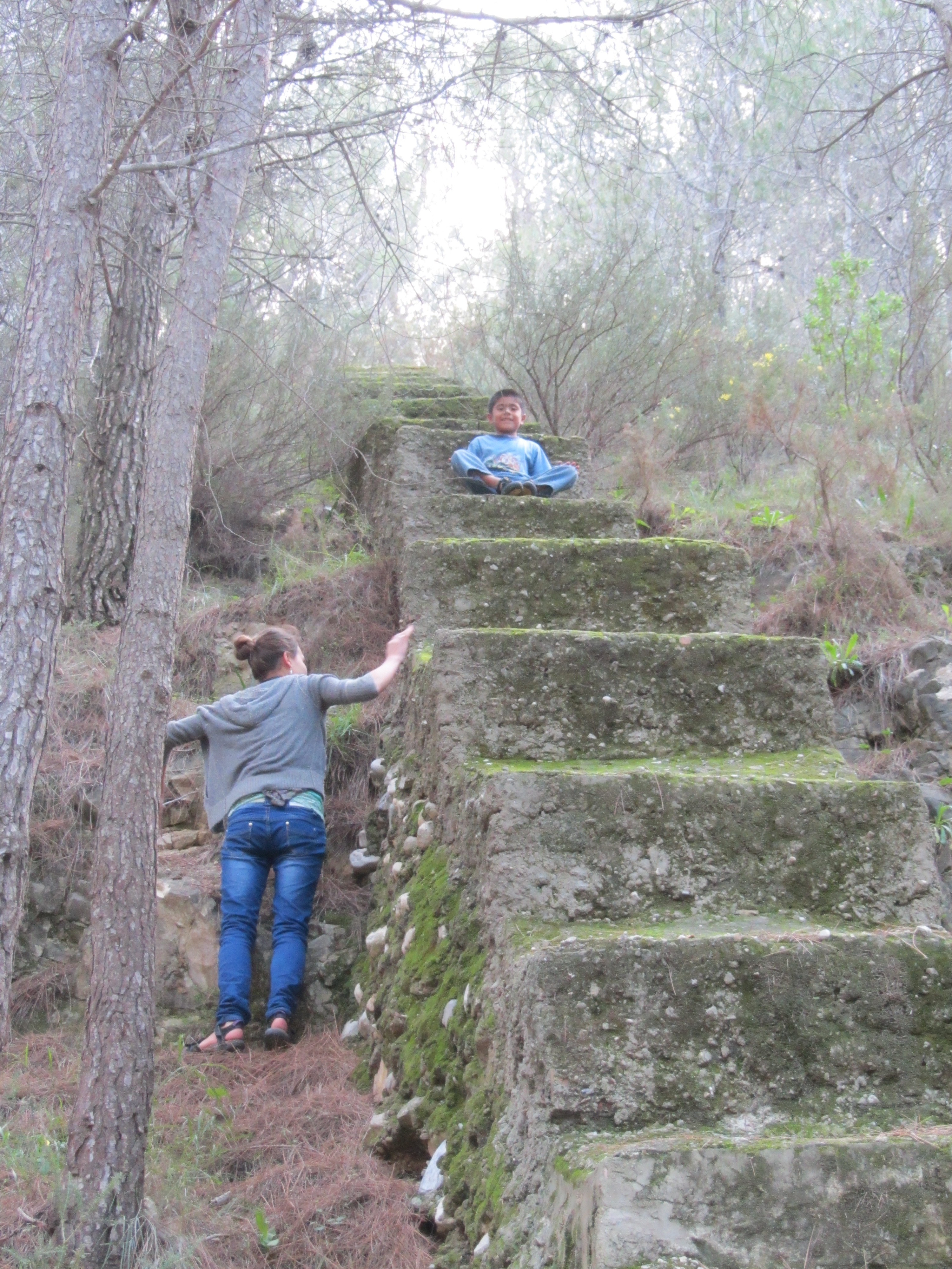 The mossy steps, a follow-up