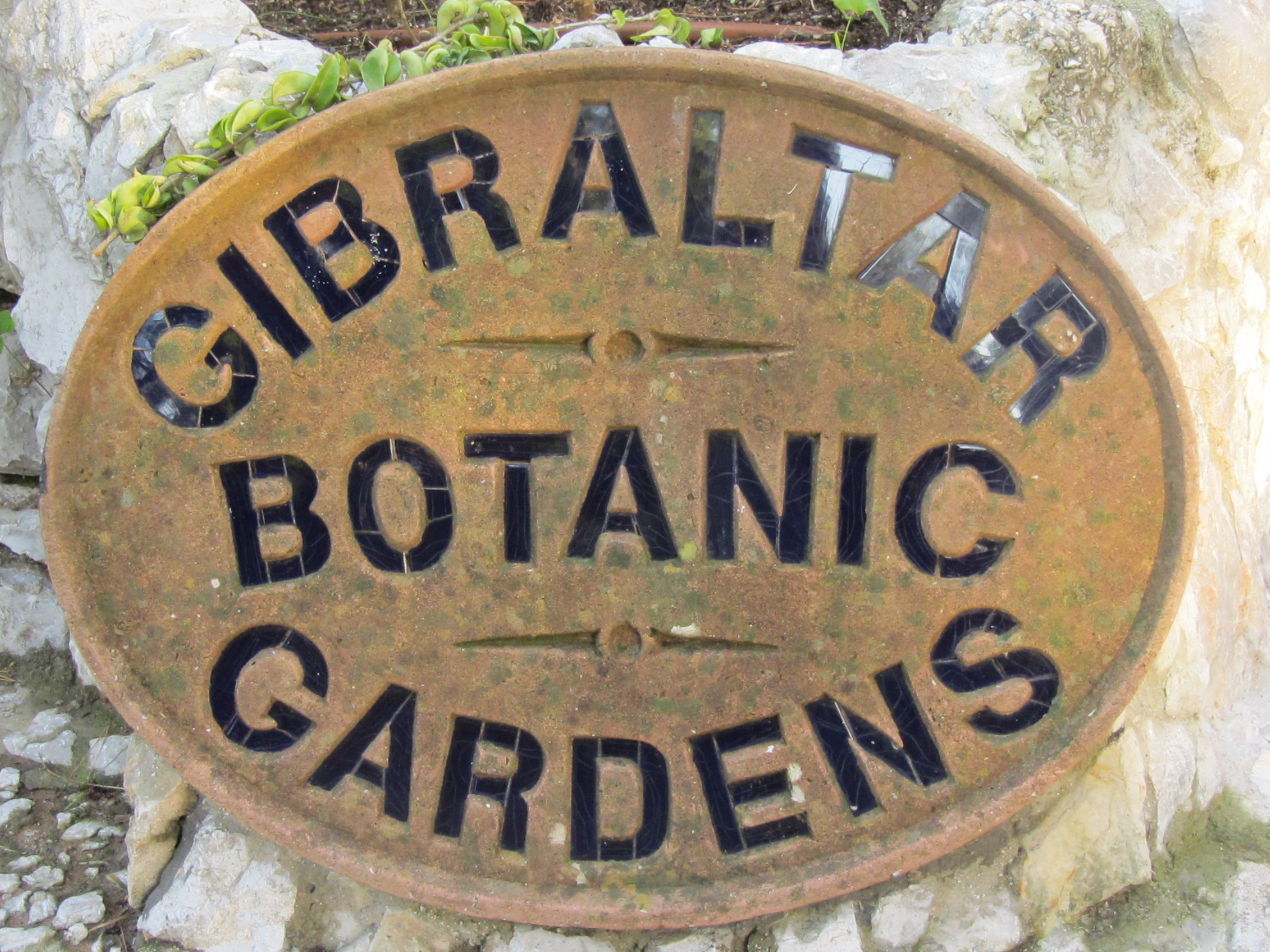 Gibraltar Botanic Gardens