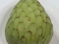 Chirimoya, Custard Apple