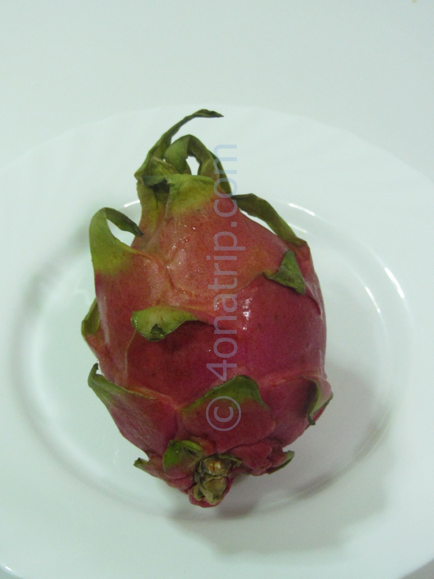 Dragon Fruit, Pitaya