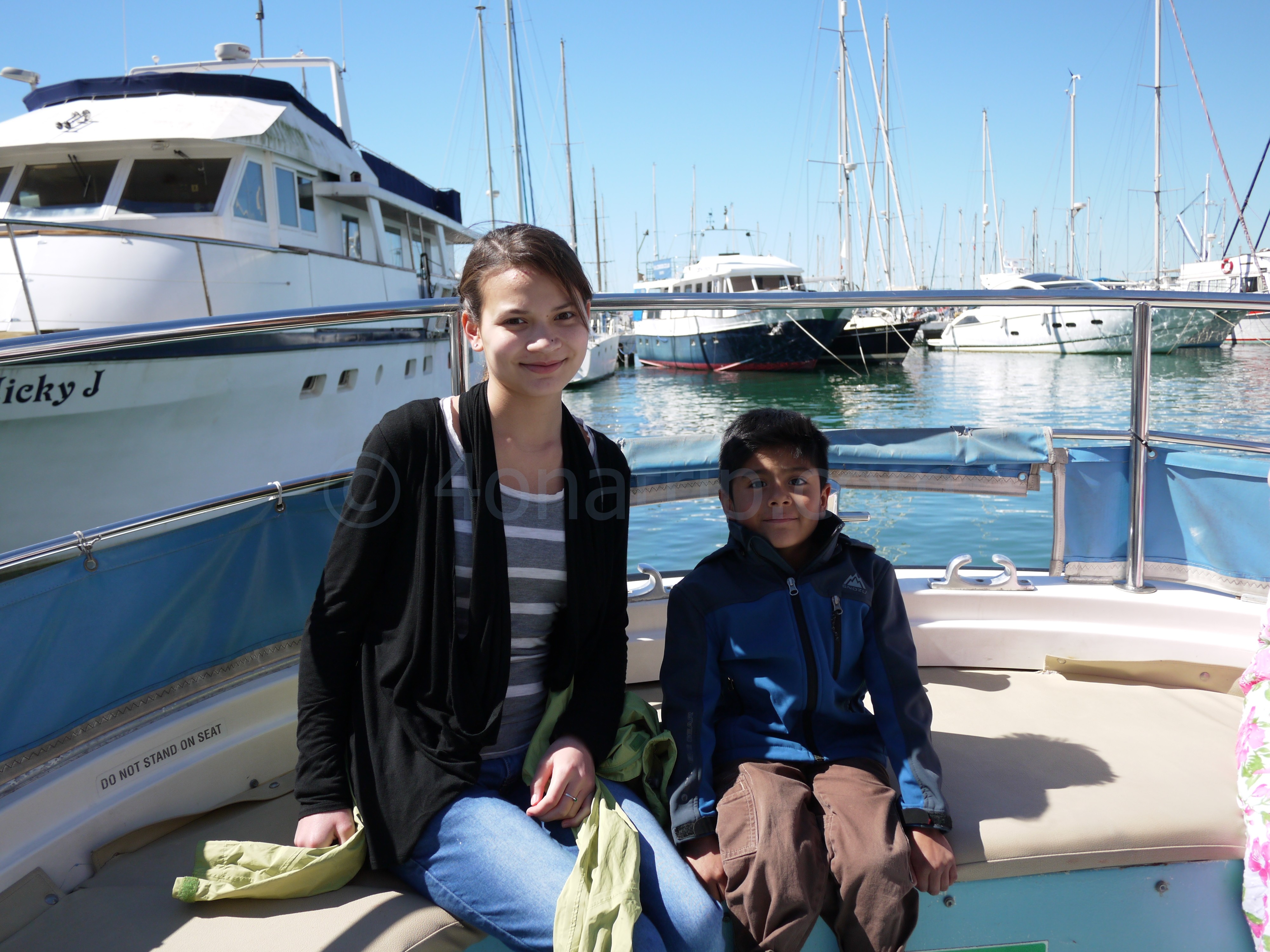 Dolphin Watching In Gibraltar