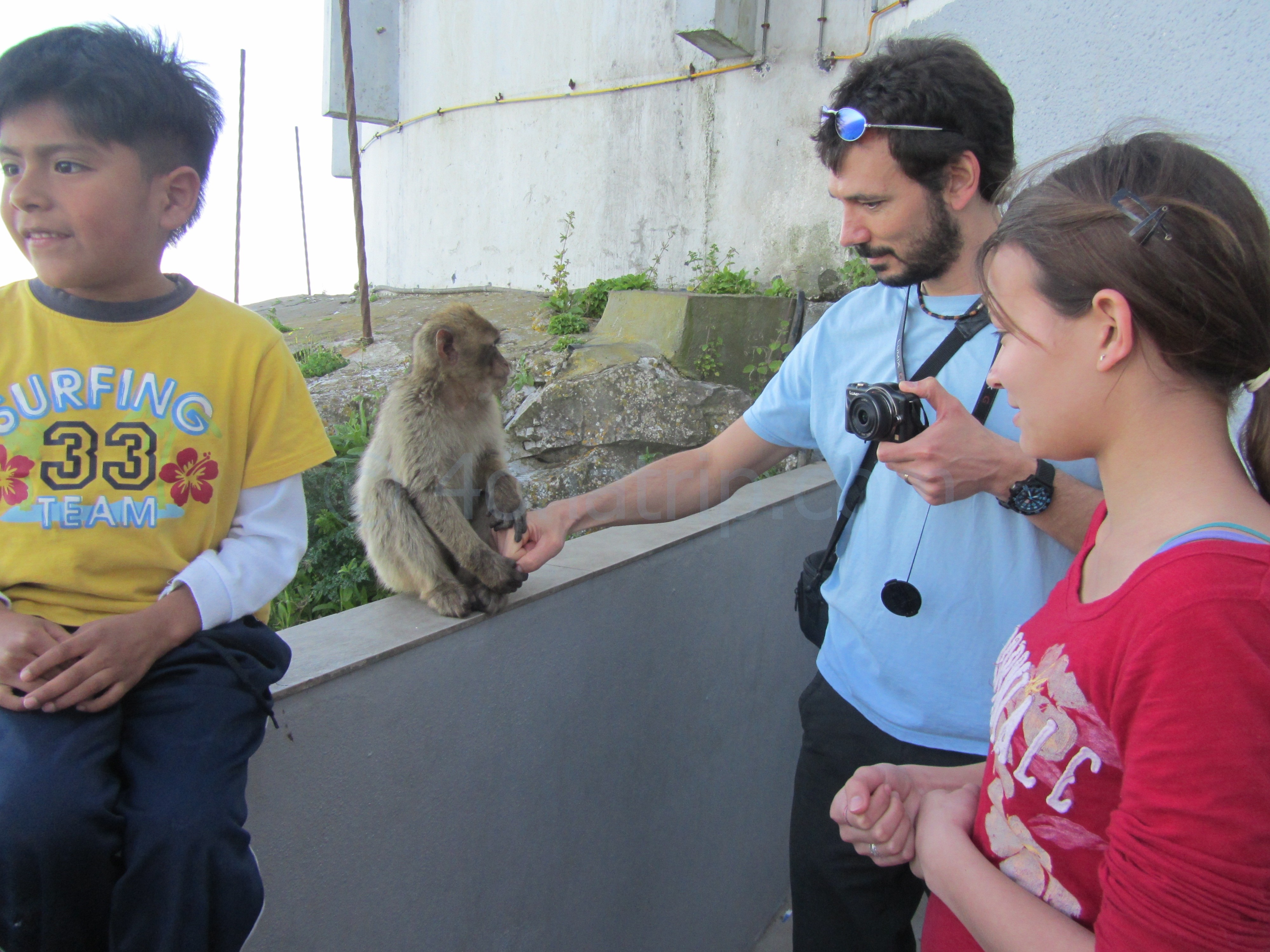 Gibraltar monkey adventure