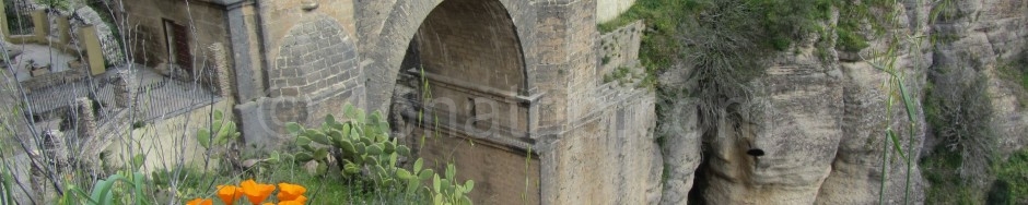 The Bridge and Gorge of Ronda, Spain