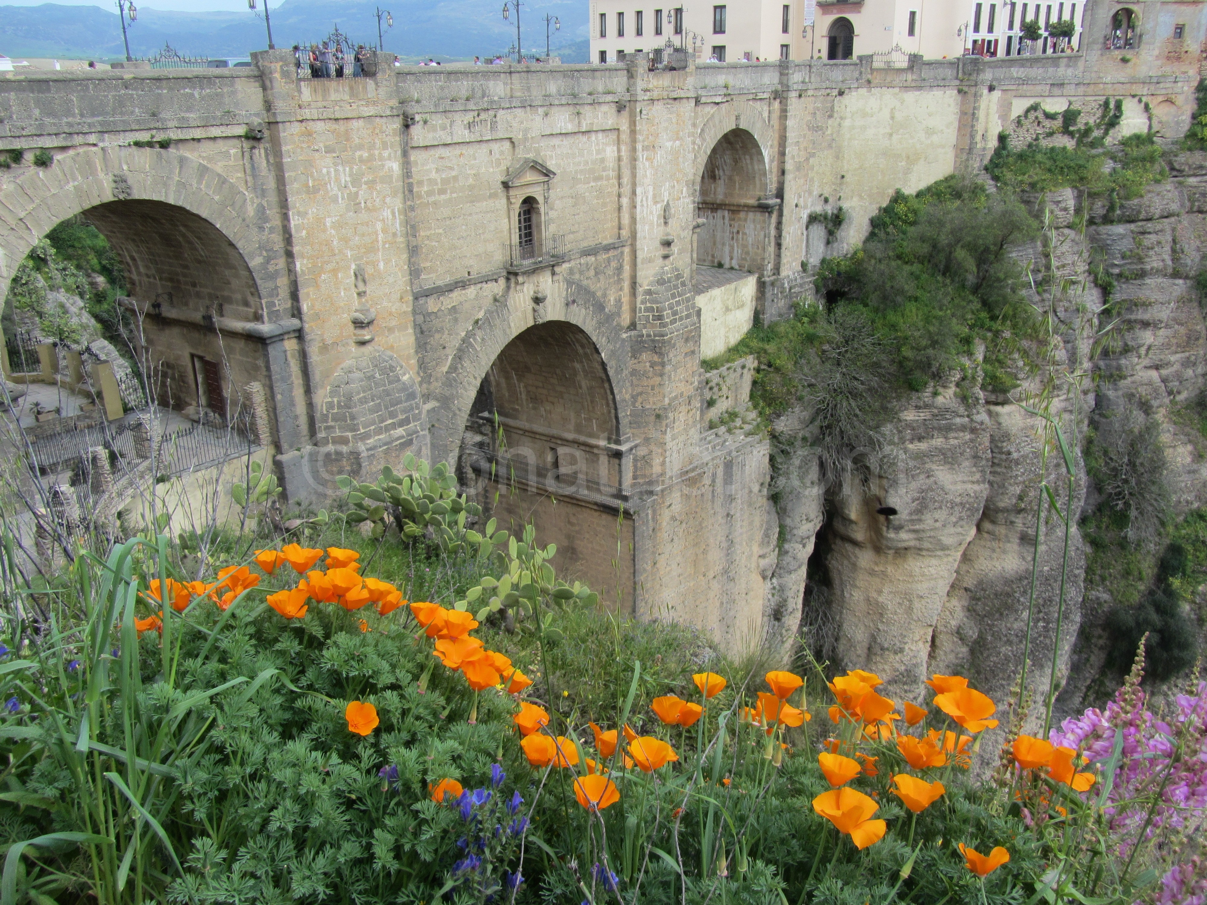 The Bridge and Gorge of Ronda, Spain