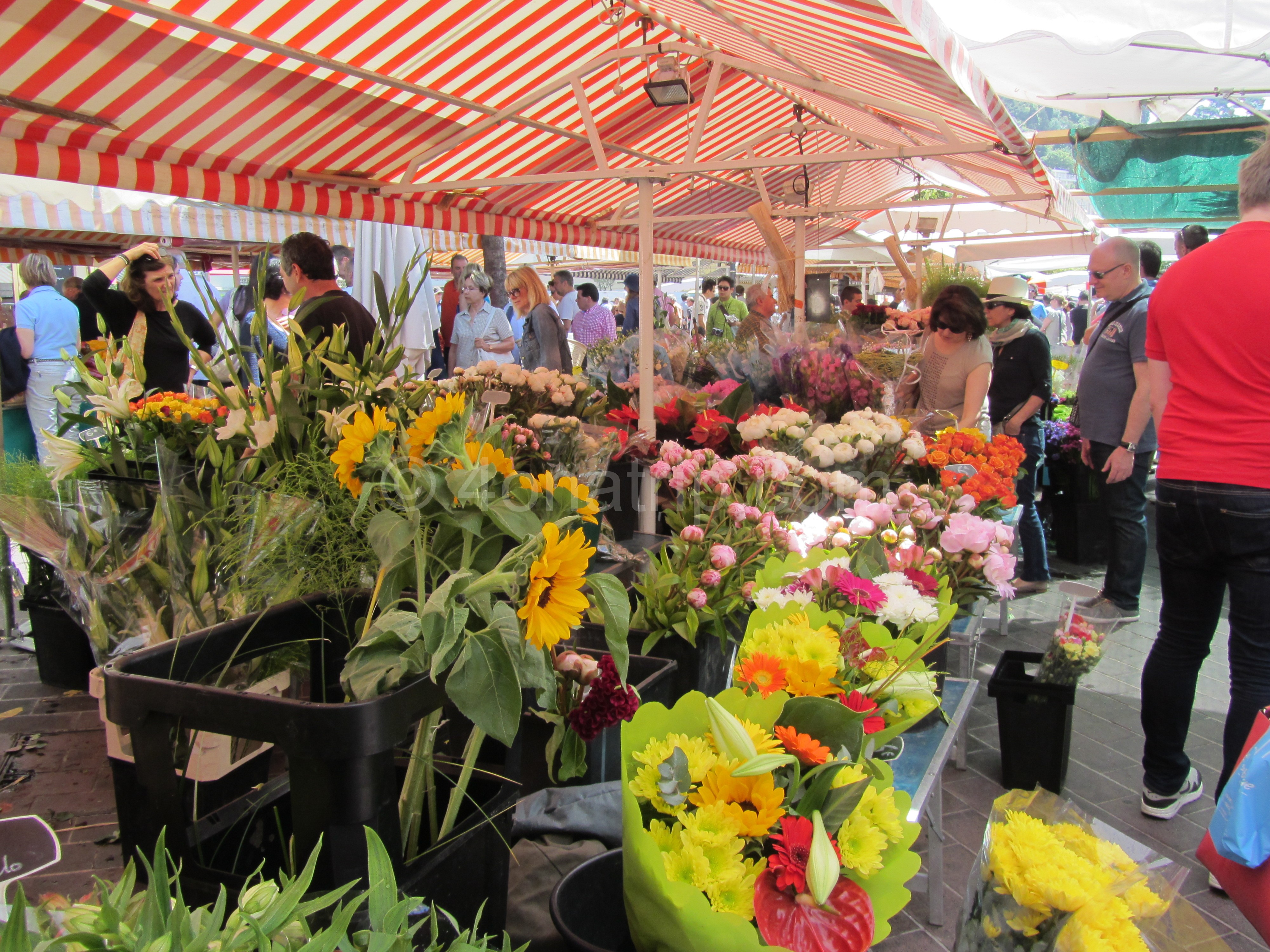Marche aux Fleurs, The Flower Market in Nice France