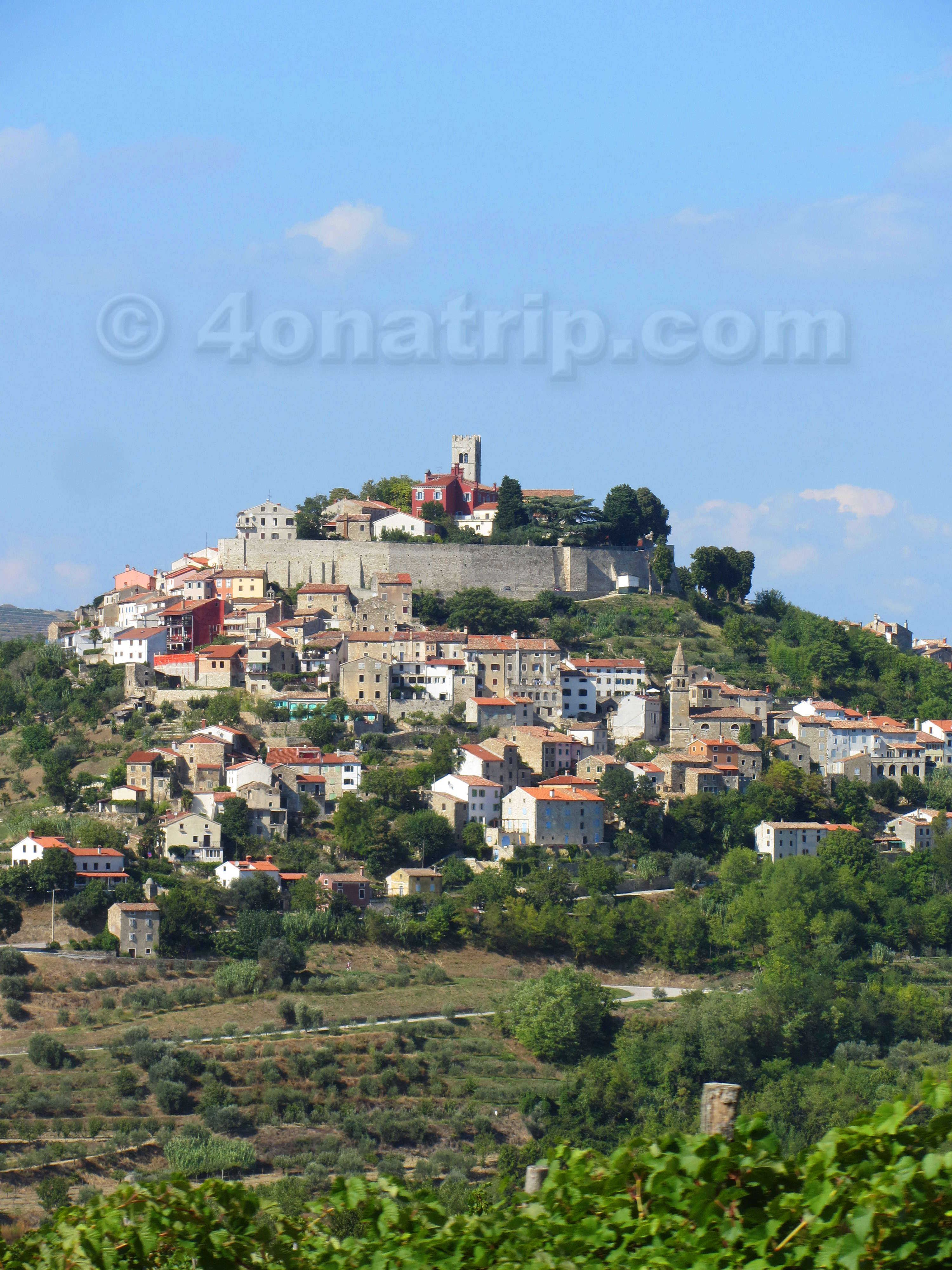 Top 5 Things To Do In Motovun Croatia