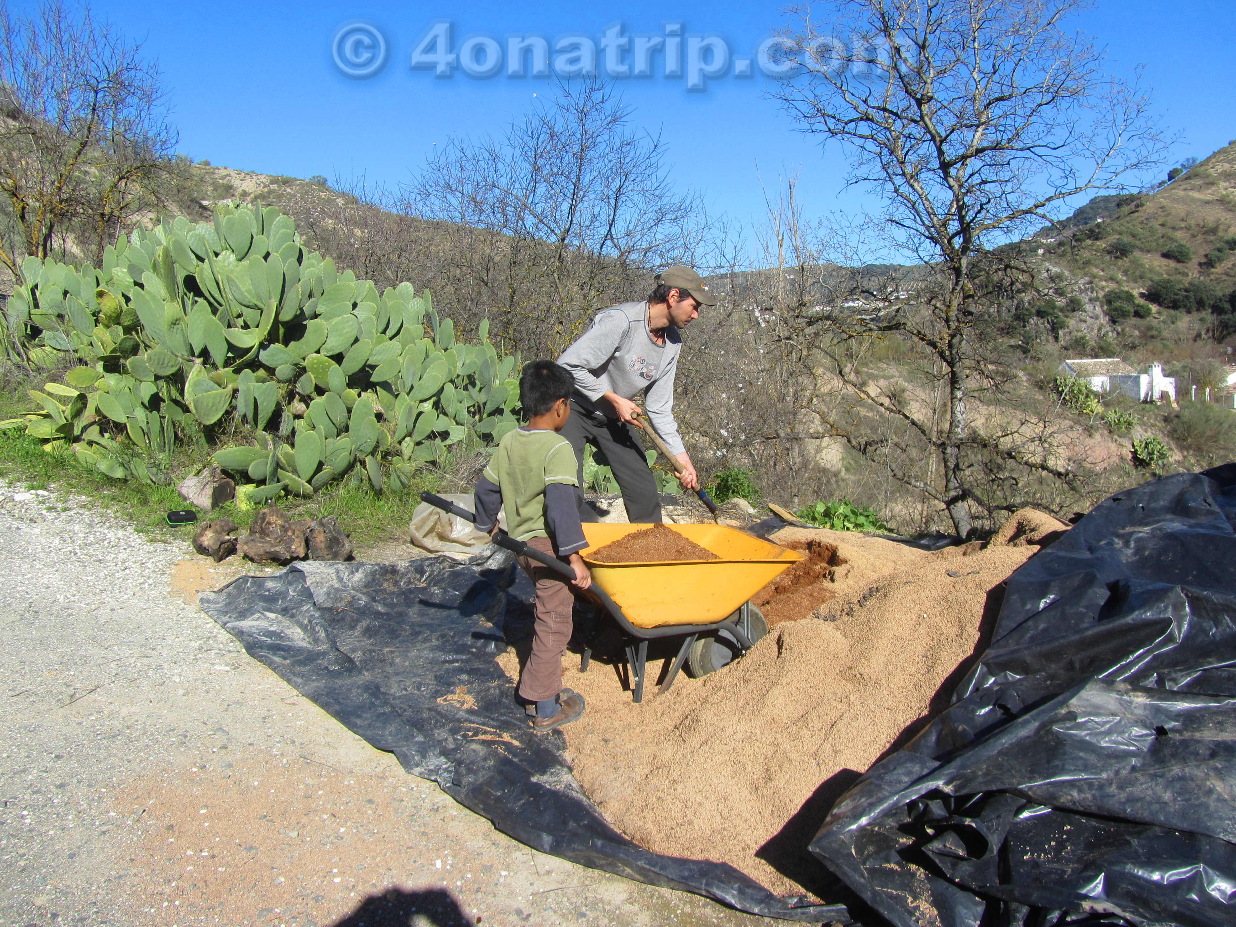 Olive Pit Furnaces in Spain